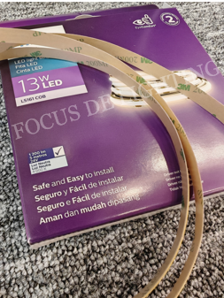 Philips LS161 COB 12W-24V LED Strip 5m per box (Customized Length available)