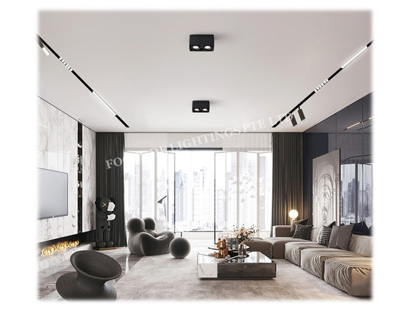 MAGNETIC TRACK SYSTEM - TRACK PROFILES