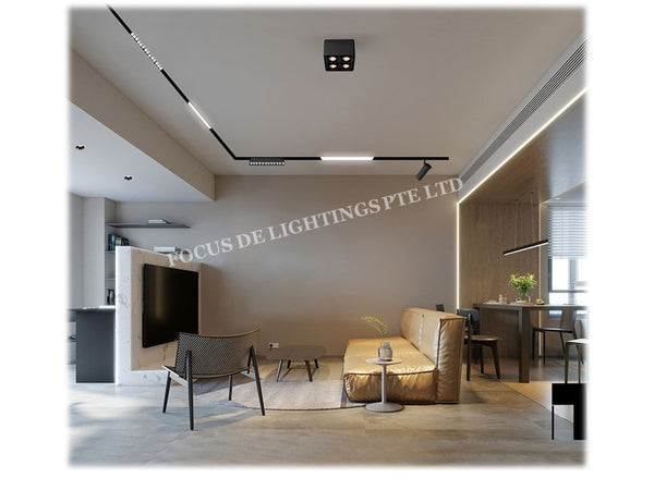 MAGNETIC TRACK SYSTEM - TRACK PROFILES