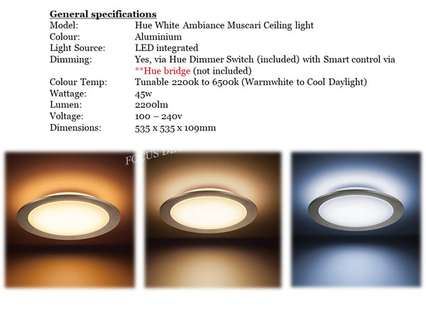 PHILIPS HUE WHITE AMBIANCE MUSCARI -CEILING