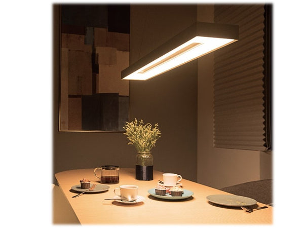 PHILIPS HUE WHITE AMBIANCE WITHIN -PENDANT
