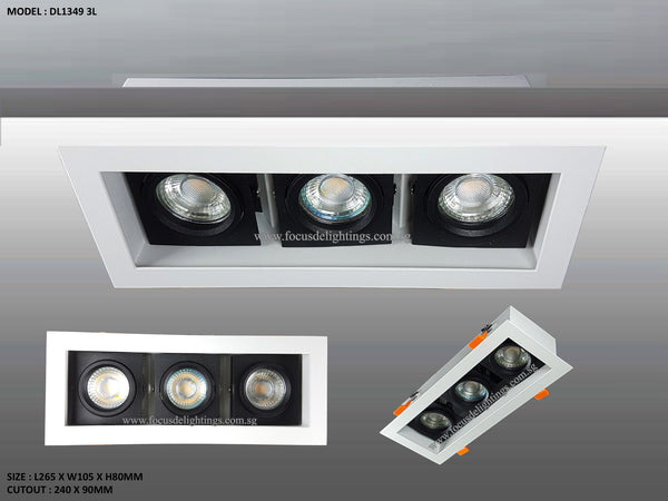 DL 1349 SERIES - ADJUSTABLE RECESSED LIGHTING (PAR16)