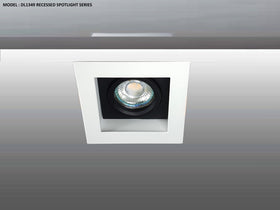DL 1349 SERIES - ADJUSTABLE RECESSED LIGHTING (PAR16)