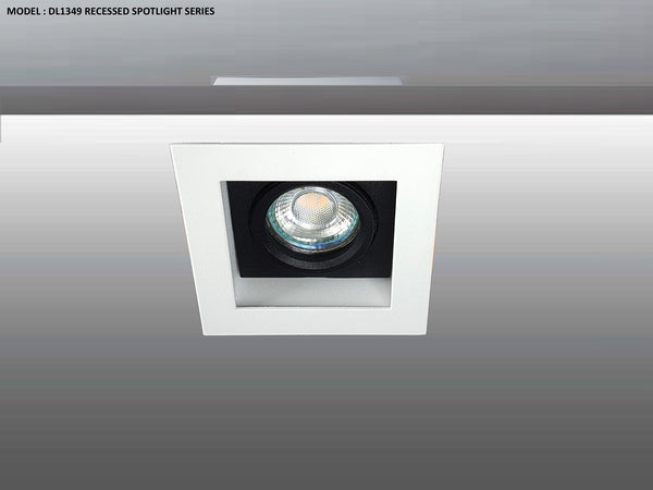 DL 1349 SERIES - ADJUSTABLE RECESSED LIGHTING (PAR16)