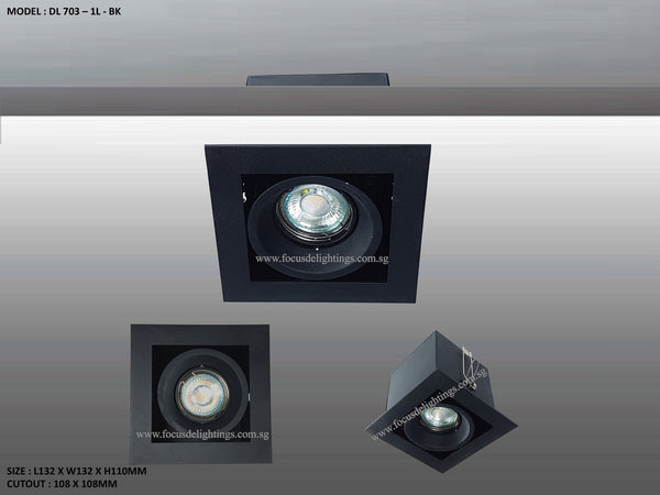 DL 703 SERIES - ADJUSTABLE RECESSED LIGHTING (PAR16)