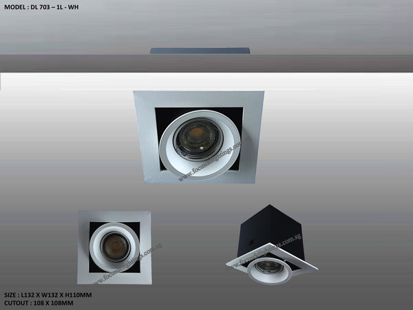 DL 703 SERIES - ADJUSTABLE RECESSED LIGHTING (PAR16)