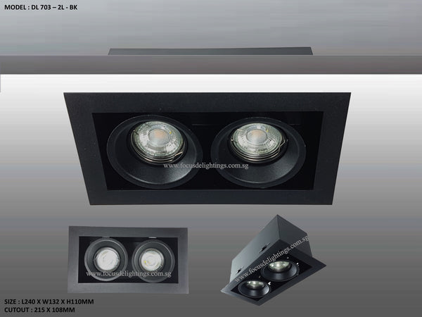 DL 703 SERIES - ADJUSTABLE RECESSED LIGHTING (PAR16)