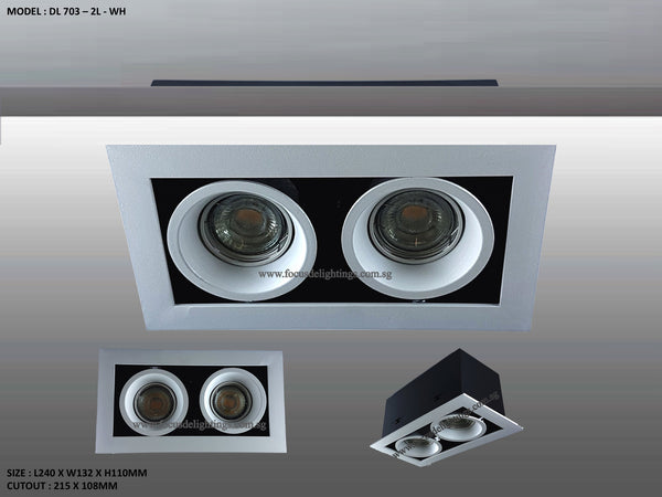 DL 703 SERIES - ADJUSTABLE RECESSED LIGHTING (PAR16)