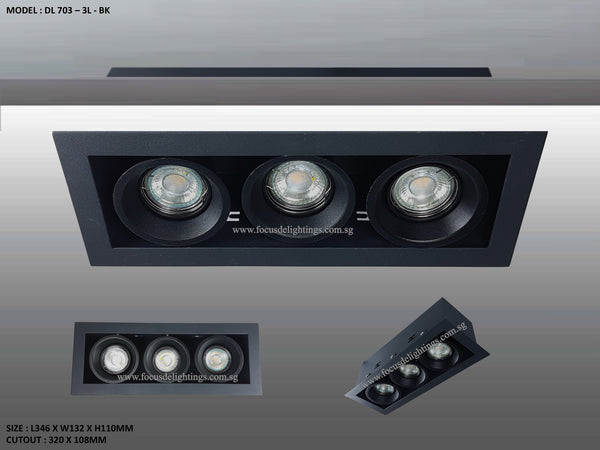 DL 703 SERIES - ADJUSTABLE RECESSED LIGHTING (PAR16)