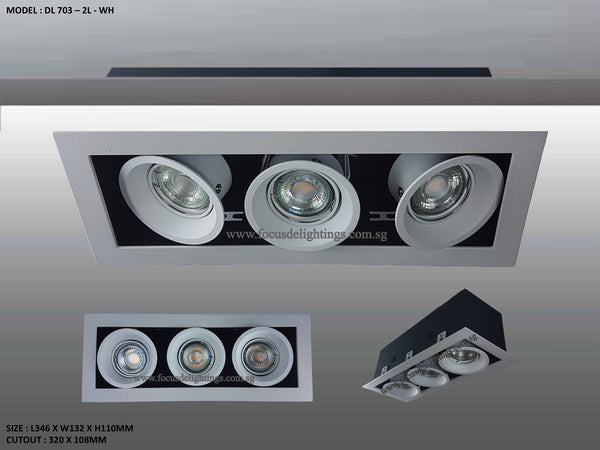 DL 703 SERIES - ADJUSTABLE RECESSED LIGHTING (PAR16)