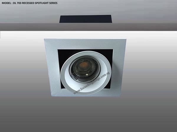 DL 703 SERIES - ADJUSTABLE RECESSED LIGHTING (PAR16)