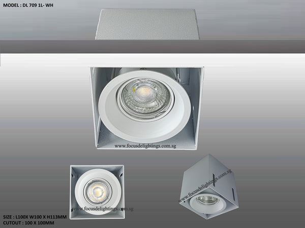 DL 709 TRIMLESS SERIES - ADJUSTABLE RECESSED LIGHTING (PAR16)