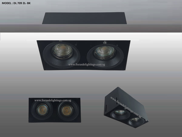 DL 709 TRIMLESS SERIES - ADJUSTABLE RECESSED LIGHTING (PAR16)