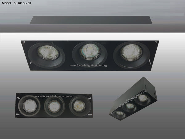 DL 709 TRIMLESS SERIES - ADJUSTABLE RECESSED LIGHTING (PAR16)