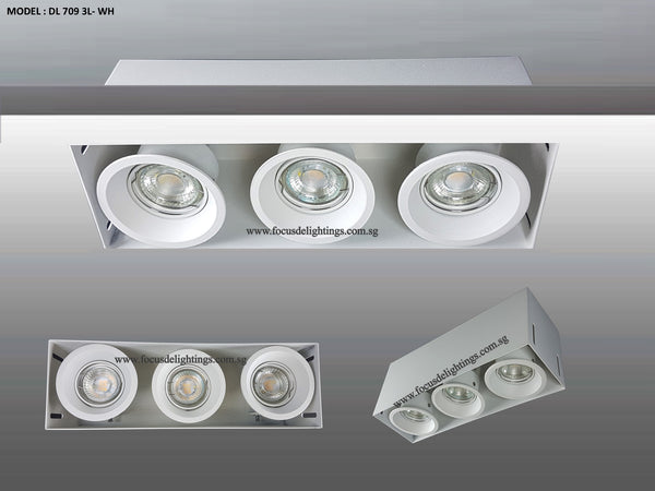 DL 709 TRIMLESS SERIES - ADJUSTABLE RECESSED LIGHTING (PAR16)