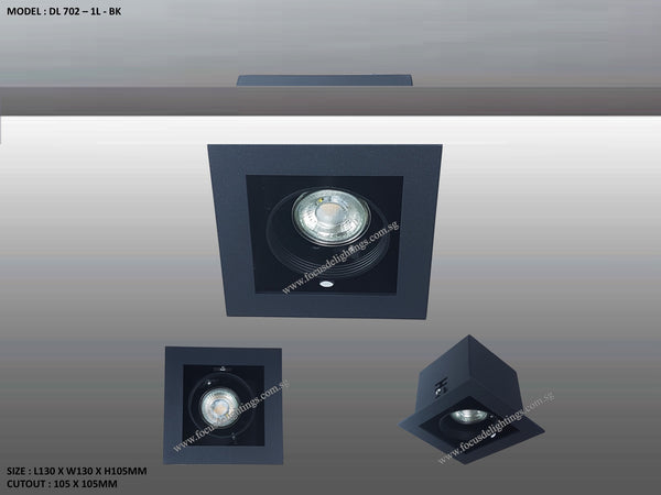 DL 702 SERIES - ADJUSTABLE RECESSED LIGHTING (PAR16)