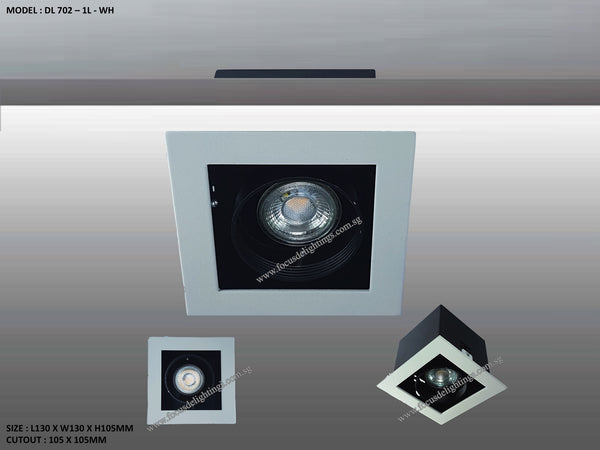 DL 702 SERIES - ADJUSTABLE RECESSED LIGHTING (PAR16)