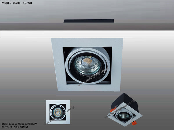 DL 706 SERIES - ADJUSTABLE RECESSED LIGHTING (PAR16)