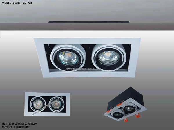 DL 706 SERIES - ADJUSTABLE RECESSED LIGHTING (PAR16)
