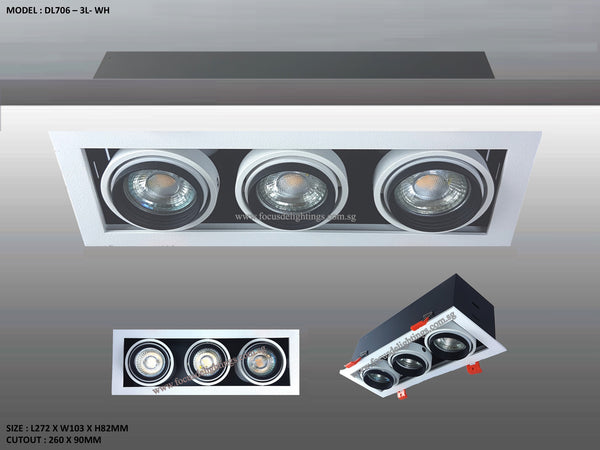 DL 706 SERIES - ADJUSTABLE RECESSED LIGHTING (PAR16)