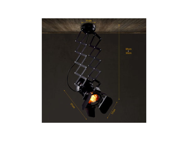 Semi Flush Mount Ceiling lamp 913