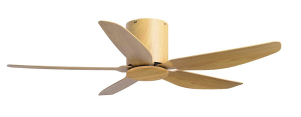 *SMART SERIES*  Crestar ALTIS 5B NO LIGHTKIT (48"/54")